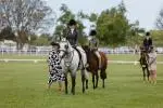 A&P-Show-Oct-2024-Friday-179 image