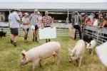 A&P-Show-Oct-2024-Friday-187 image